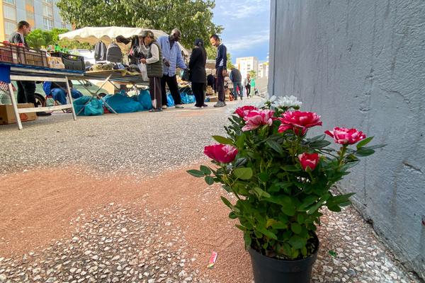 Des fleurs ont été déposées par des résidents où les victimes sont mortes lors de la fusillade de la veille ce samedi 4 octobre aux Moulins à Nice. Bouton photo Frantz 