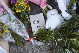 Les hommages se multiplient depuis l’annonce du décès de Brigitte Bardot à 91 ans. 