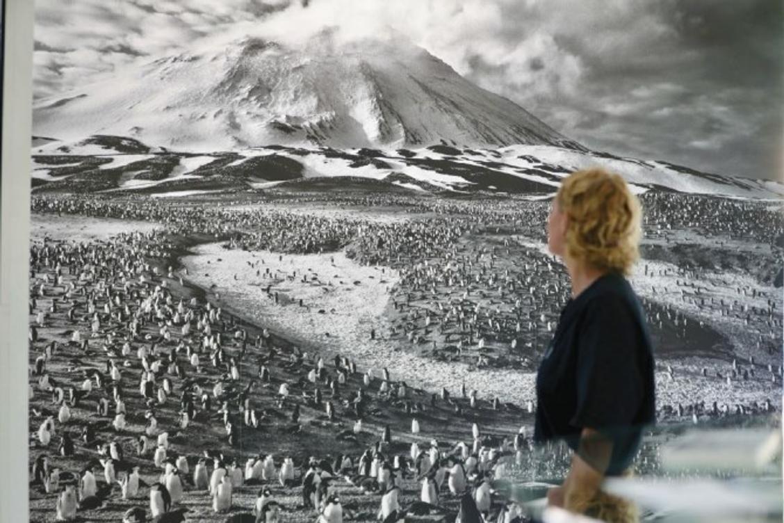 Photographie, peinture, BD : ces trois expositions à découvrir avant leur clôture à La Seyne