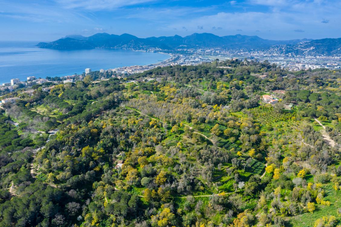 La femme de 91 ans port&eacute;e disparue a &eacute;t&eacute; retrouv&eacute;e dans le massif de la Croix-des-Gardes &agrave; Cannes